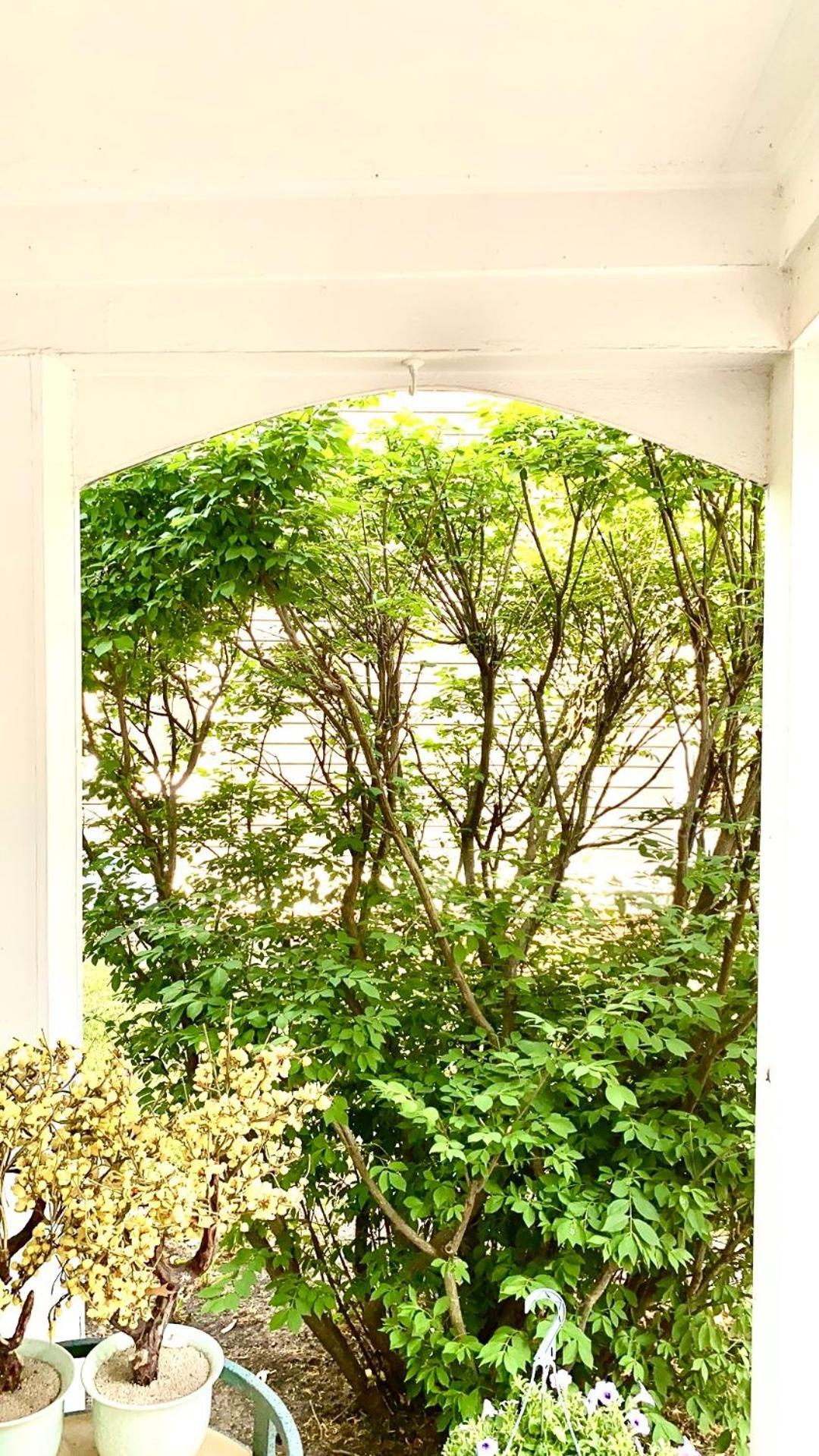 B3 A Private Room In Naperville Downtown With Desk And Wi-Fi Near Everything 外观 照片